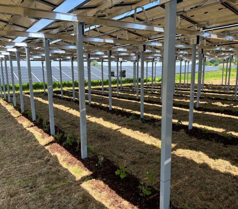 Anumar Agri PV Solarpark Brunnen