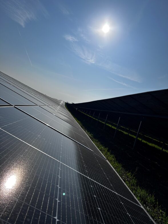 ANUMAR Solarpark Westerhausen