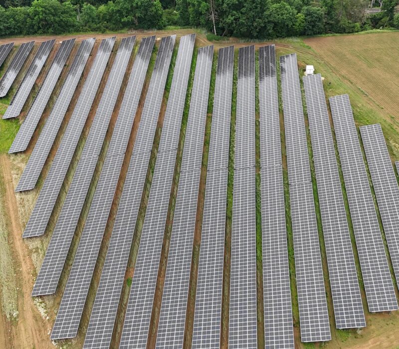 ANUMAR-Solarpark-Ellingen